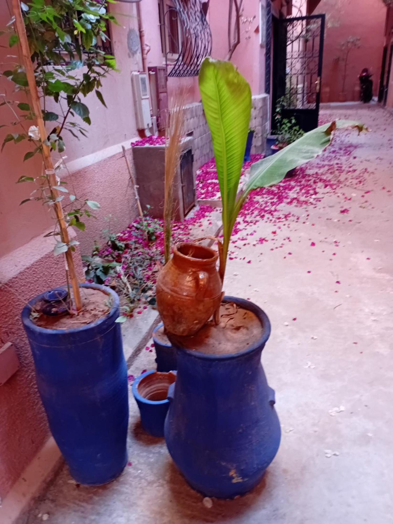Riad Le Shams Marrakesh Exterior photo